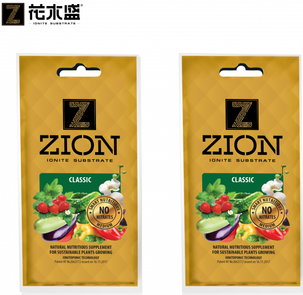 zion classiic