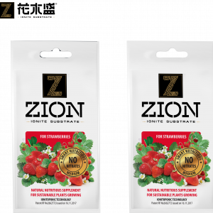zion strawberries