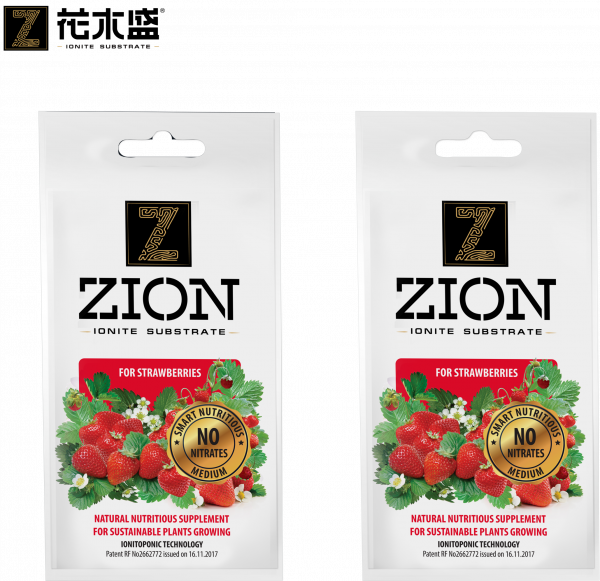 zion strawberries